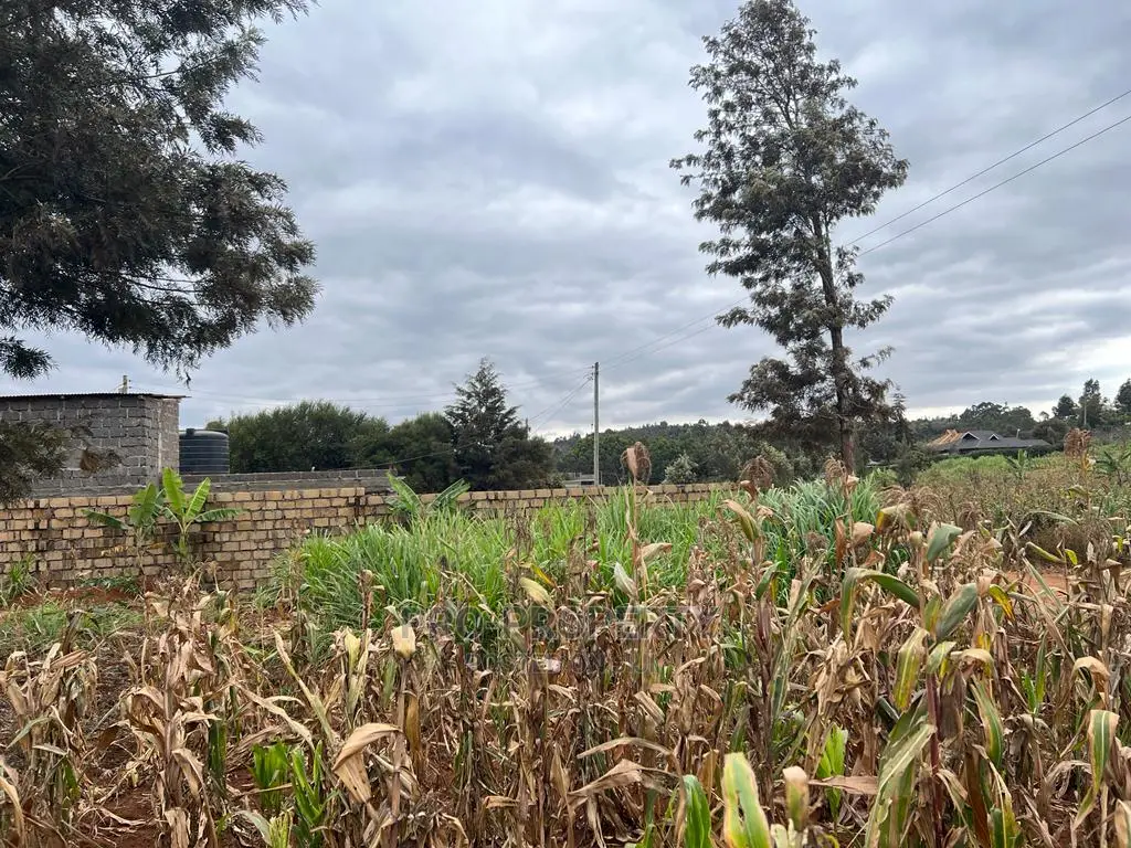 Prime Residential Plot for Sale in Kikuyu, Kamangu.U.