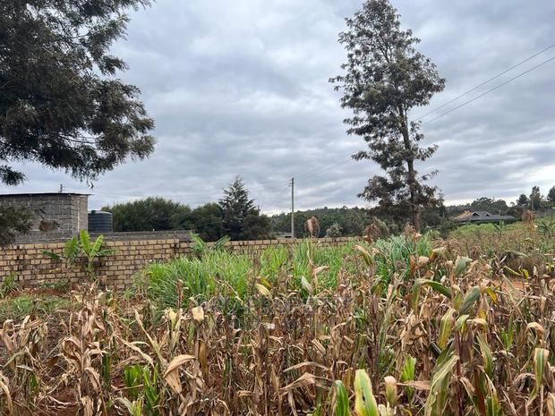 Prime Residential Plot for Sale in Kikuyu, Kamangu.U. - thumbnail 8