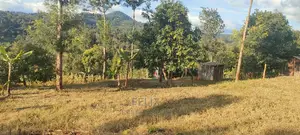 Nyeri/ Gatitu,Githiru.1/2 Acre