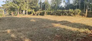 Nyeri/ Gatitu,Githiru.1/2 Acre