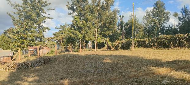 Nyeri/ Gatitu,Githiru.1/2 Acre - thumbnail 5