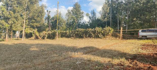 Nyeri/ Gatitu,Githiru.1/2 Acre - thumbnail 4