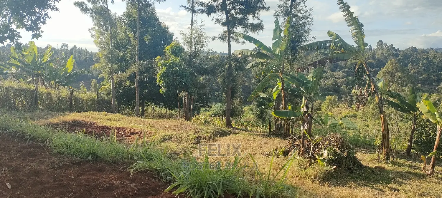 Nyeri/ Gatitu,Githiru.1/2 Acre