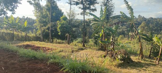 Nyeri/ Gatitu,Githiru.1/2 Acre - thumbnail 7