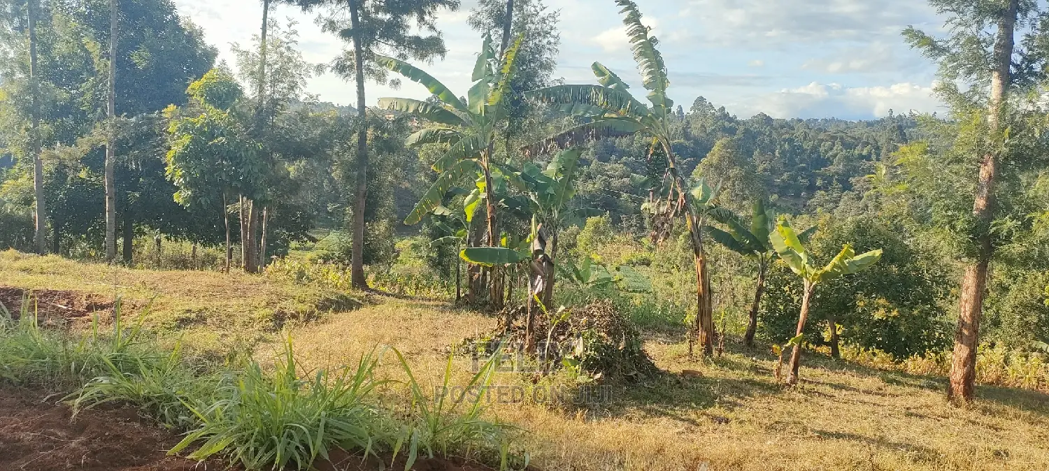 Nyeri/ Gatitu,Githiru.1/2 Acre