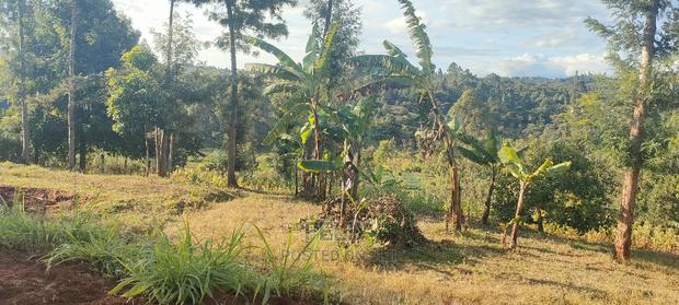 Nyeri/ Gatitu,Githiru.1/2 Acre - thumbnail 8