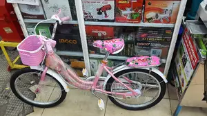 Grls Bike 20"