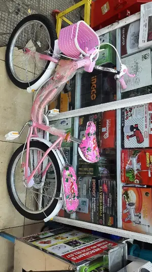 Pink Bike for Girl 13yrs
