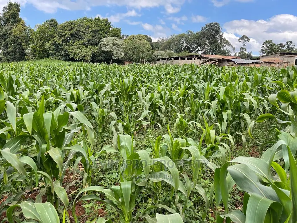Prime Block of Land for Sale in Kikuyu Town.