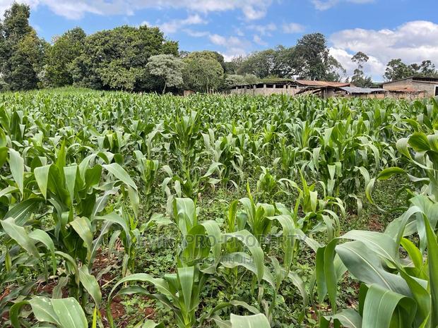 Prime Block of Land for Sale in Kikuyu Town. - thumbnail 3