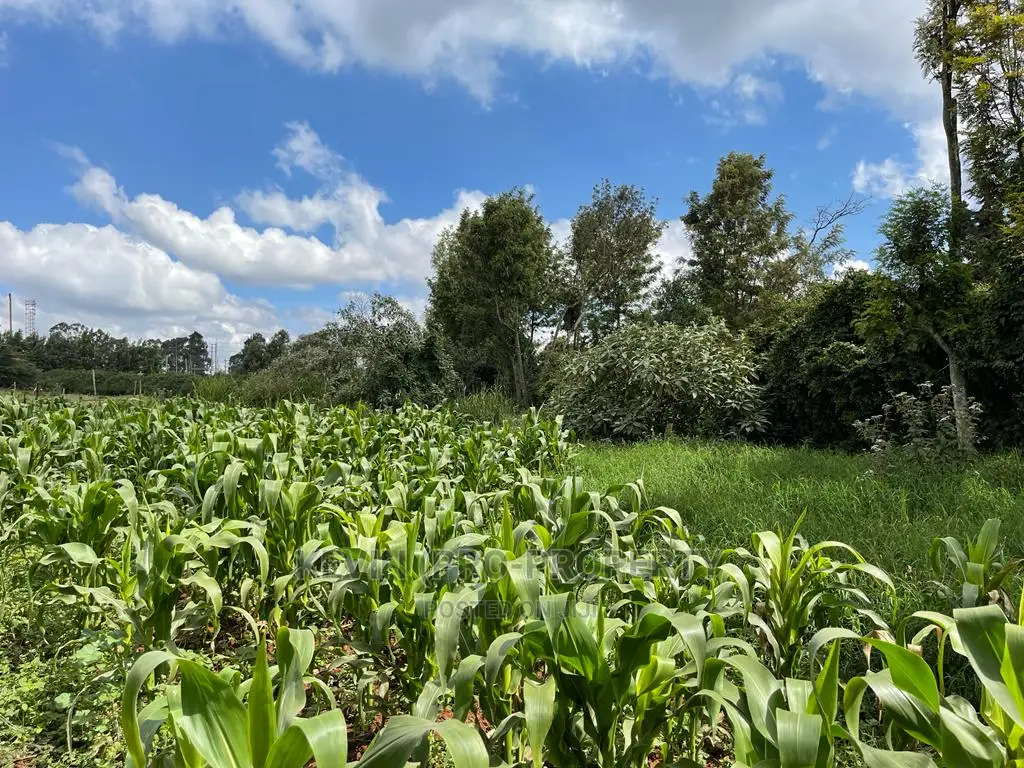 Prime Block of Land for Sale in Kikuyu Town.