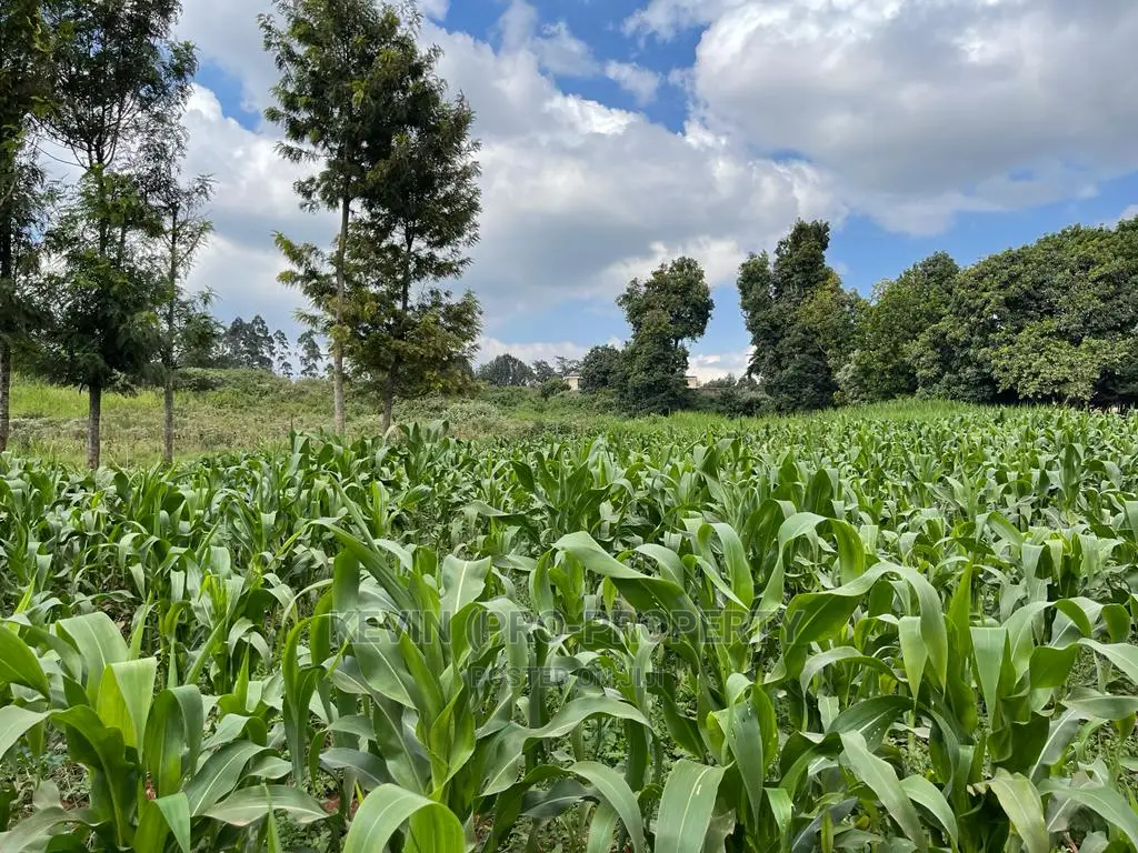 Prime Block of Land for Sale in Kikuyu Town.