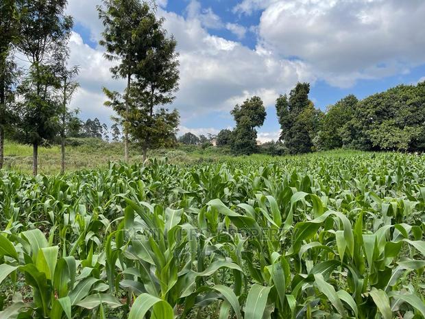 Prime Block of Land for Sale in Kikuyu Town. - thumbnail 4