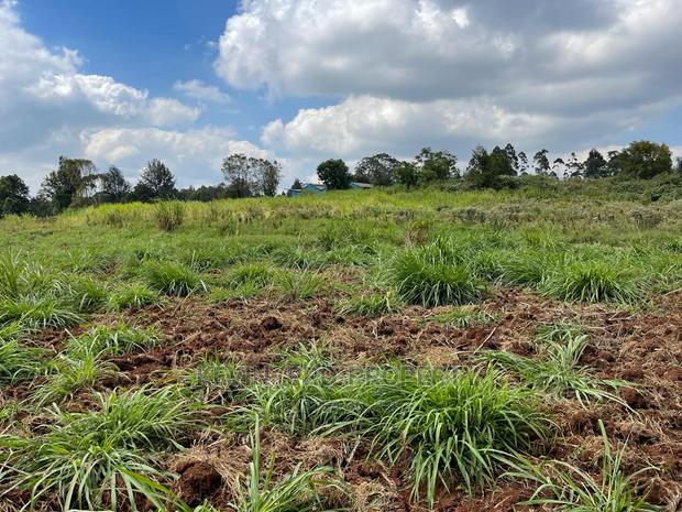 Prime Block of Land for Sale in Kikuyu Town. - thumbnail 2