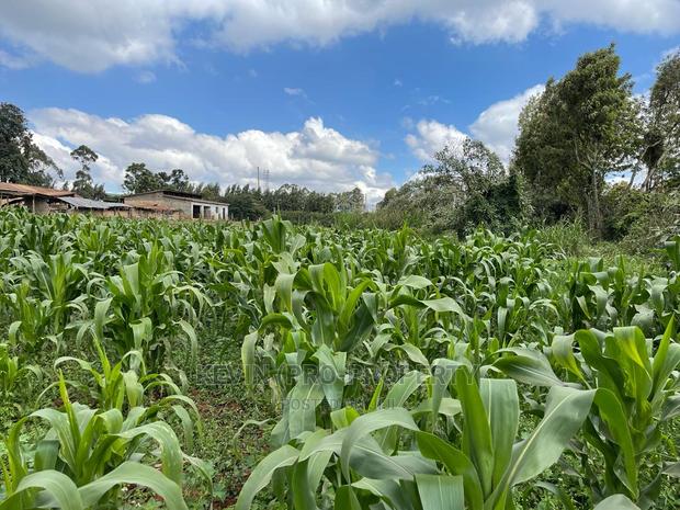 Prime Block of Land for Sale in Kikuyu Town. - thumbnail 7