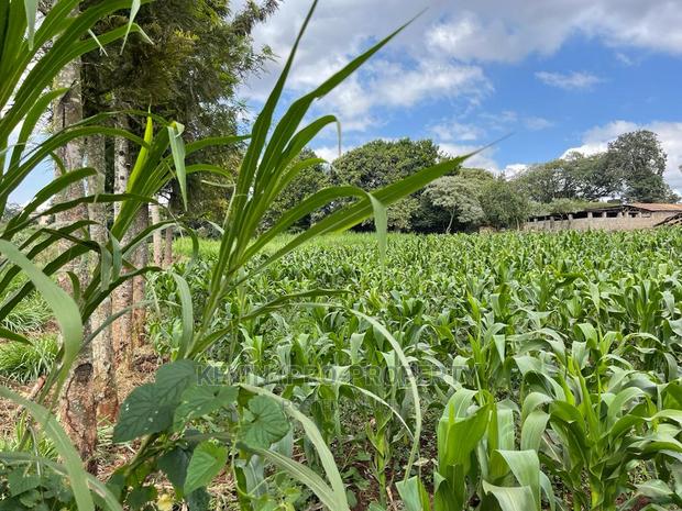 Prime Block of Land for Sale in Kikuyu Town. - thumbnail 6