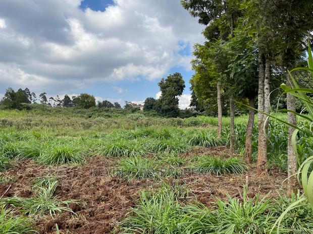 Prime Block of Land for Sale in Kikuyu Town. - thumbnail 10