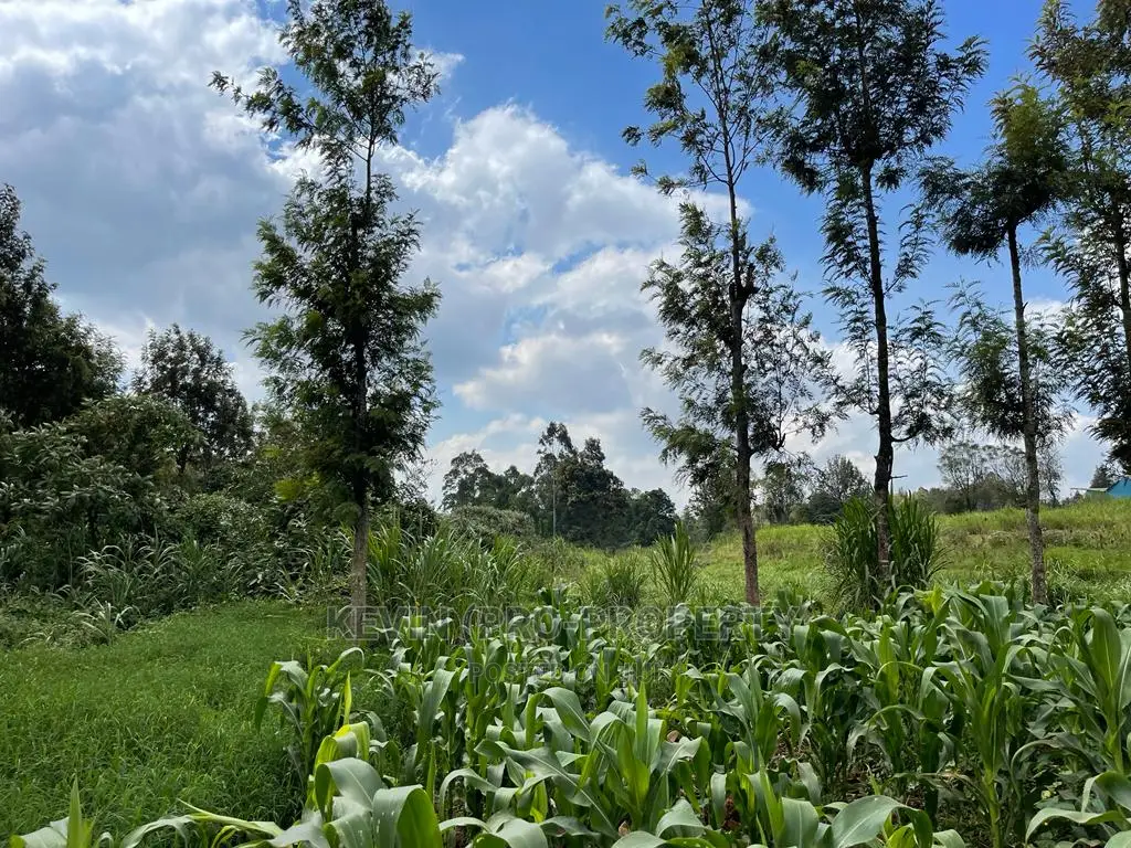 Prime Block of Land for Sale in Kikuyu Town.