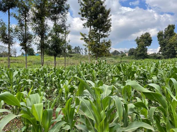 Prime Block of Land for Sale in Kikuyu Town. - main view