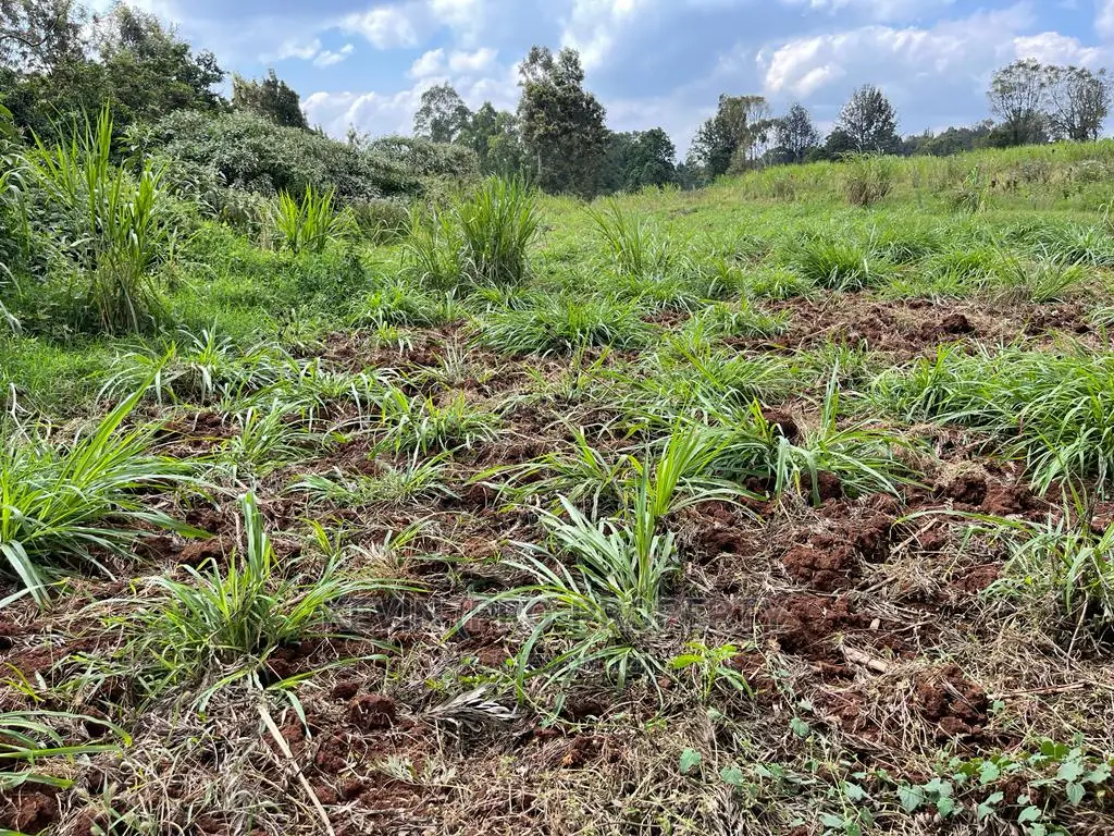 Prime Block of Land for Sale in Kikuyu Town.