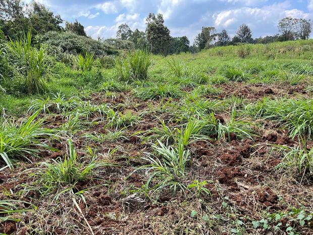 Prime Block of Land for Sale in Kikuyu Town. - thumbnail 13