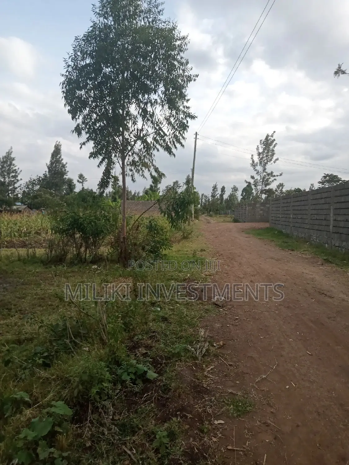 40 by 80 Plot on Sale at Kabati Zabka.