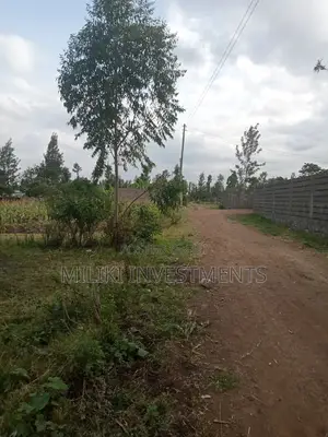 40 by 80 Plot on Sale at Kabati Zabka.