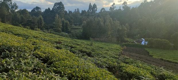 Karatina 1 Acre Gikumbo