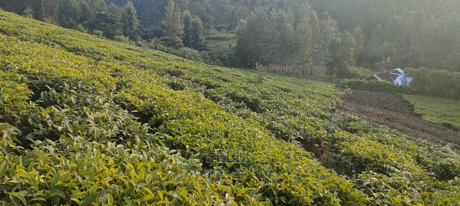 Karatina 1 Acre Gikumbo