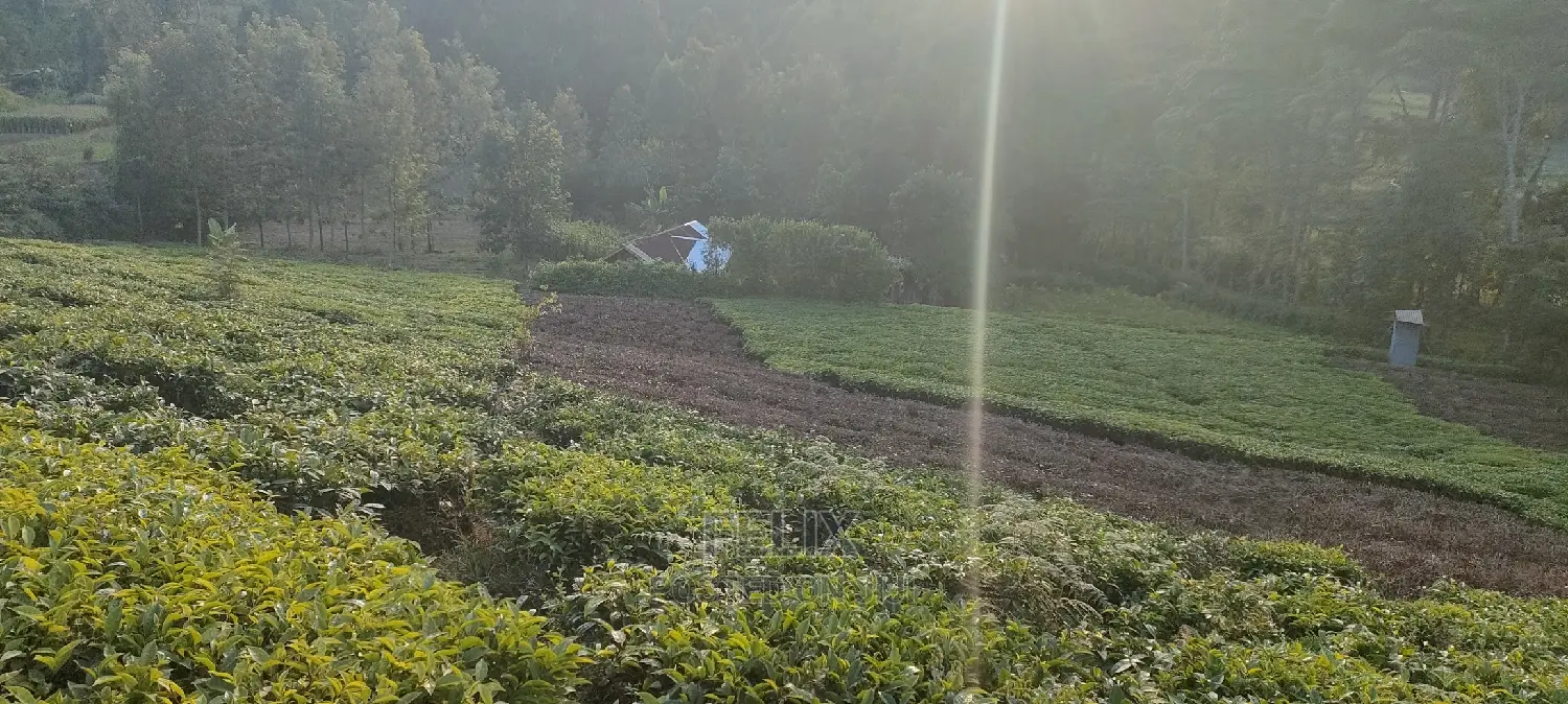 Karatina 1 Acre Gikumbo