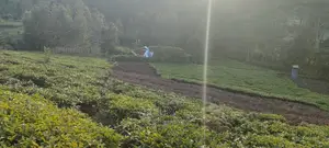 Karatina 1 Acre Gikumbo