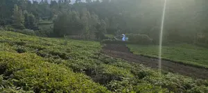 Karatina 1 Acre Gikumbo