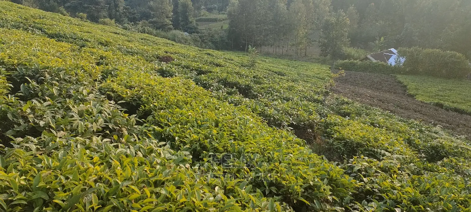Karatina 1 Acre Gikumbo