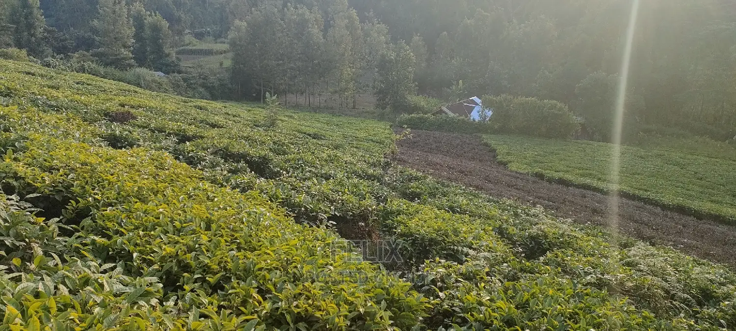 Karatina 1 Acre Gikumbo