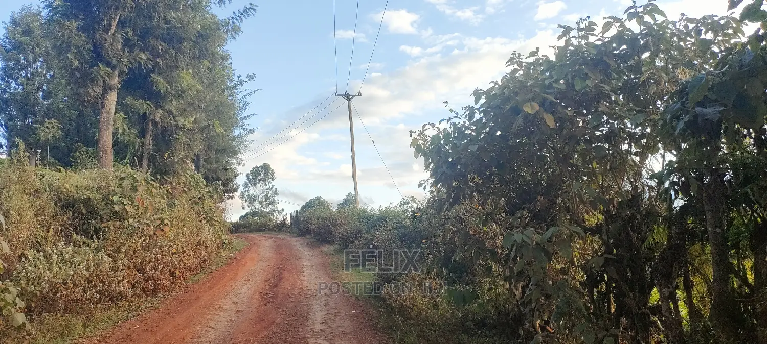 Karatina 1 Acre Gikumbo