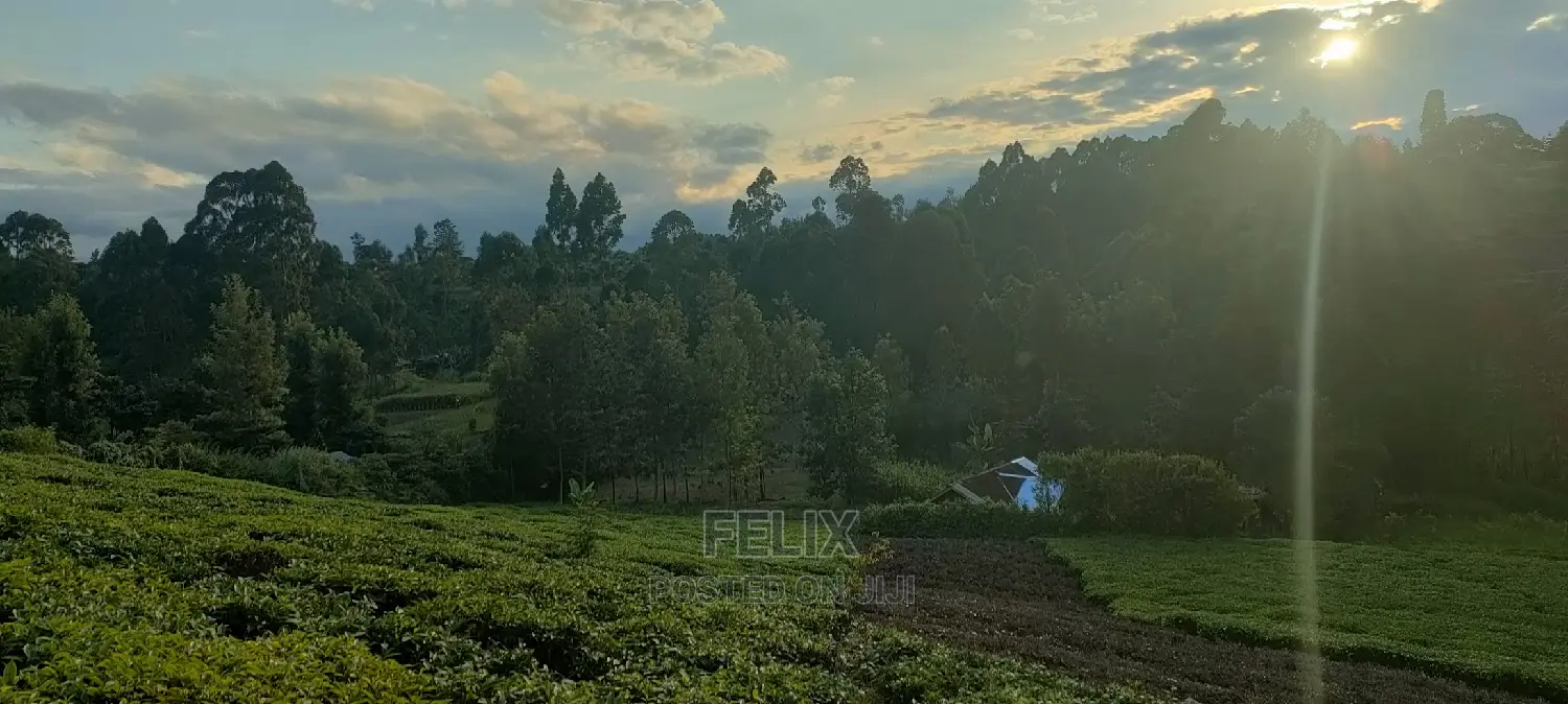 Karatina 1 Acre Gikumbo