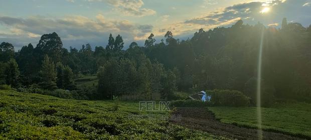 Karatina 1 Acre Gikumbo - thumbnail 10