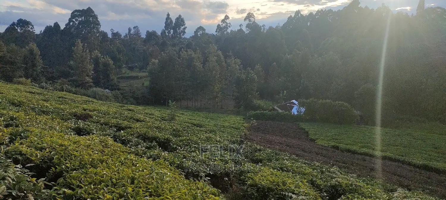 Karatina 1 Acre Gikumbo