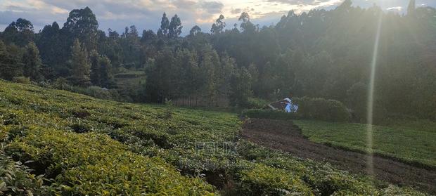 Karatina 1 Acre Gikumbo - thumbnail 11
