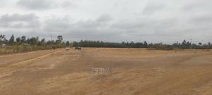 10 Acres Narumoru/Male - main view