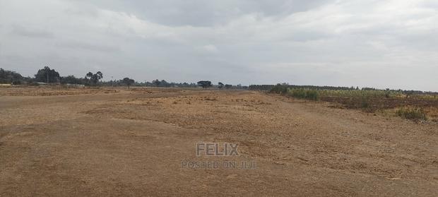 10 Acres Narumoru/Male - thumbnail 3