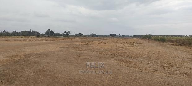 10 Acres Narumoru/Male - thumbnail 5