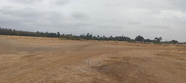 10 Acres Narumoru/Male - thumbnail 4
