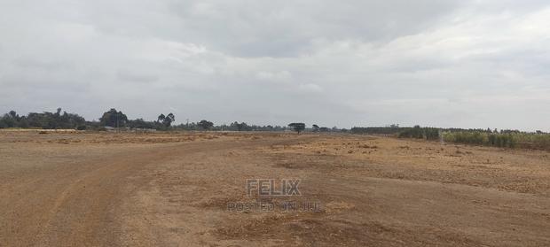 10 Acres Narumoru/Male - thumbnail 9