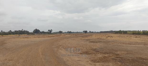10 Acres Narumoru/Male - thumbnail 8