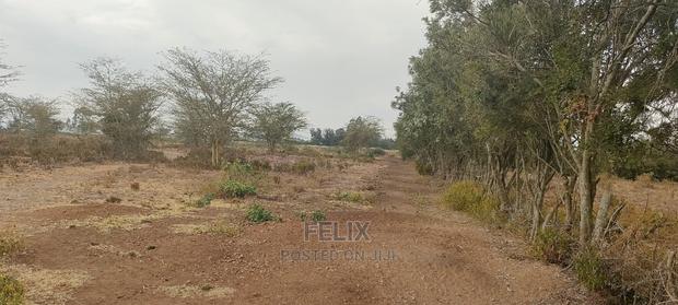 8 Acres Narumoru/Thoome/ Matanya - main view