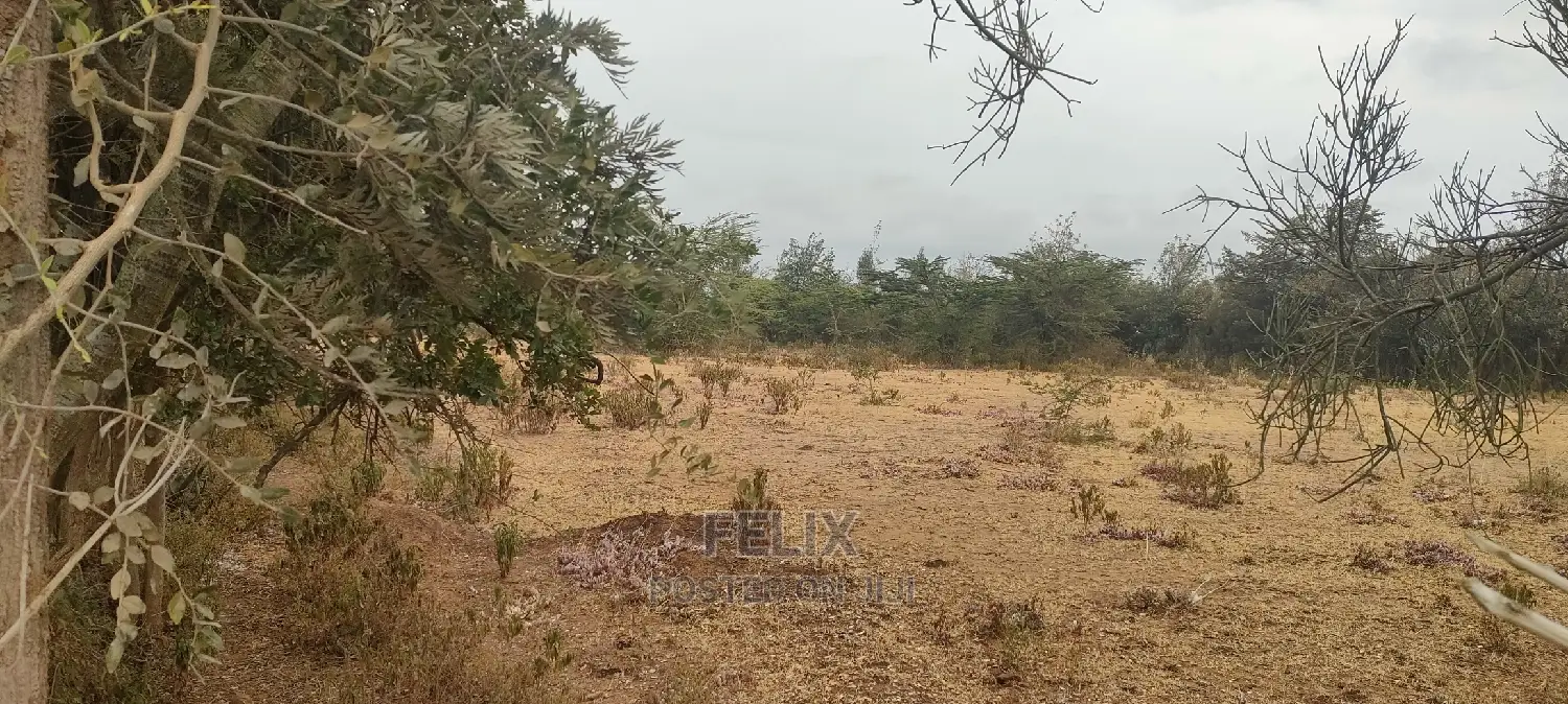 8 Acres Narumoru/Thoome/ Matanya
