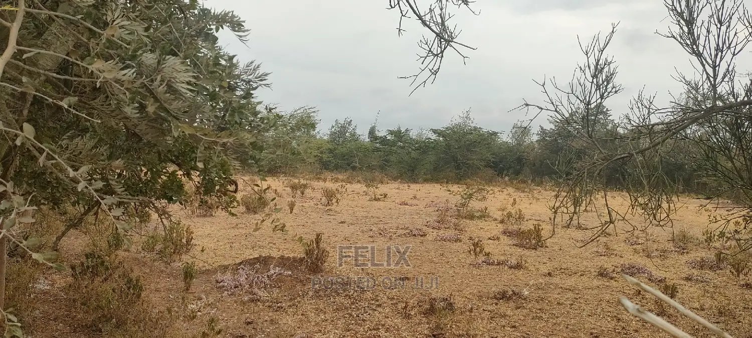 8 Acres Narumoru/Thoome/ Matanya