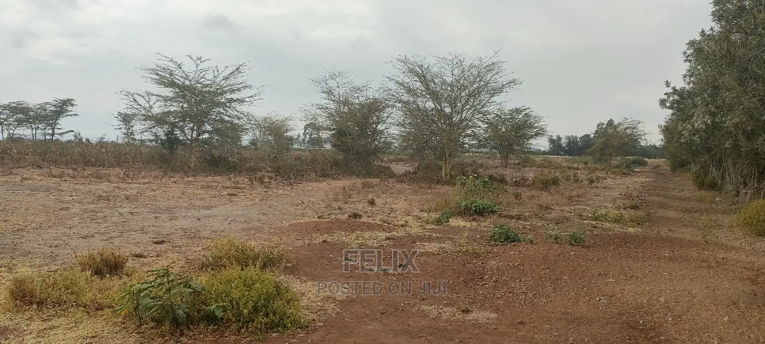 8 Acres Narumoru/Thoome/ Matanya