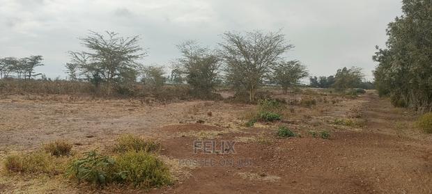 8 Acres Narumoru/Thoome/ Matanya - thumbnail 9